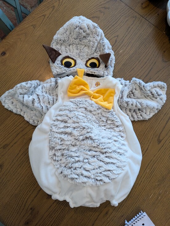 Other - Adorable Oliver The Owl Baby Costume By RUBIES II Size 18 Months